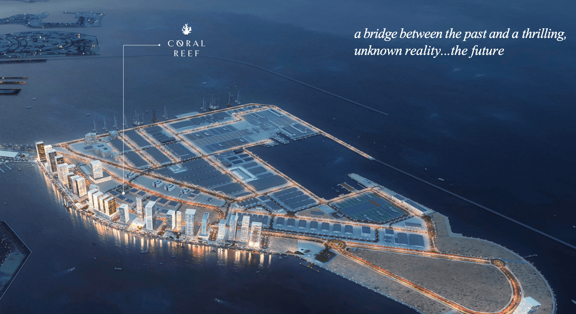 Coral Reef master plan 1