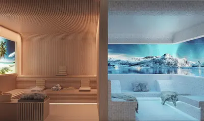 Scenic Sauna & Ice Room