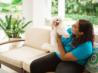 Pet Concierge