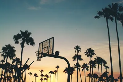 Basket Ball Court