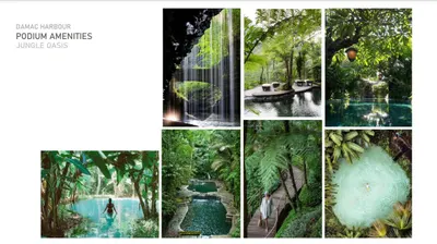 Jungle Oasis