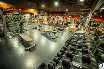 Gymnasium