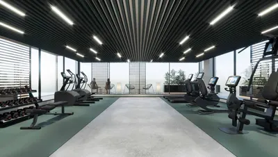Fitness Gym