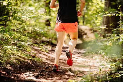 Woodland Jogging Track