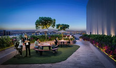 Bbq Area
