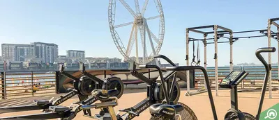 Outdoor Gym