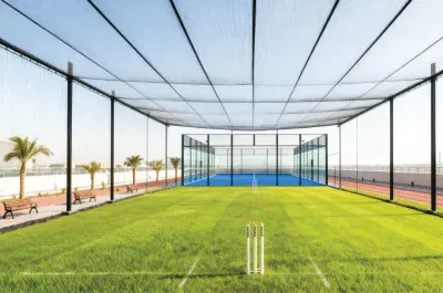 Cricket Pitch