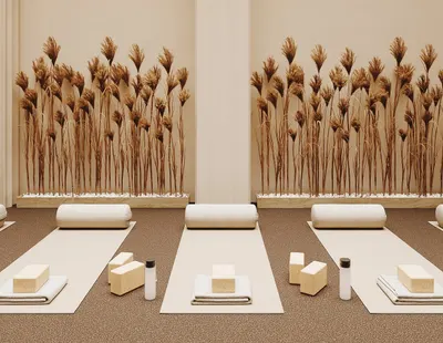 Restorative Yoga Studio