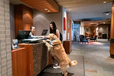 Pet Friendly