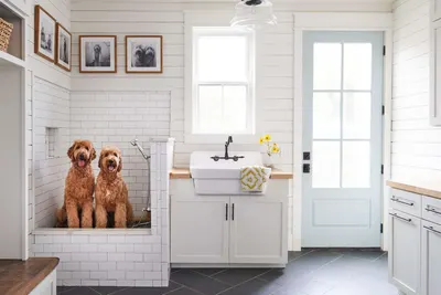 Pet Washroom