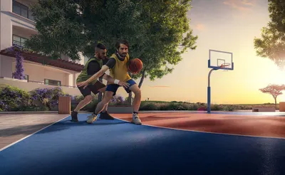 Basketball Court
