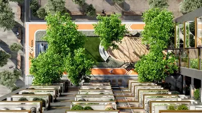 Elevated Gardens