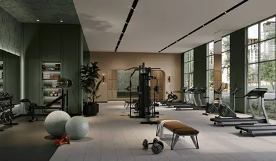 Outdoor Gym And Fitness Station