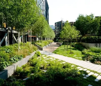 Landscape Garden