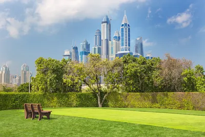 Lush Green Parks