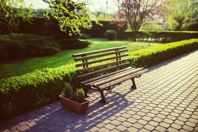 Outdoor Area