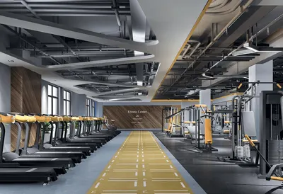 Gymnasium