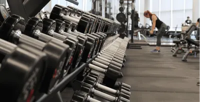 Outdoor & Indoor Gyms