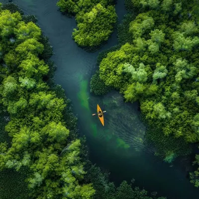 Lush Parks & Gardens
