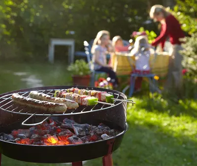 Bbq & Picnic Areas