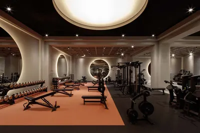 Gymnasium