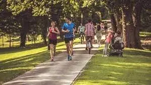 Walking Track
