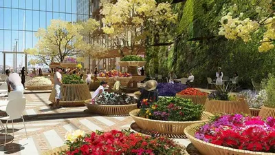 Landscaped Garden