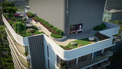 Rooftop Garden