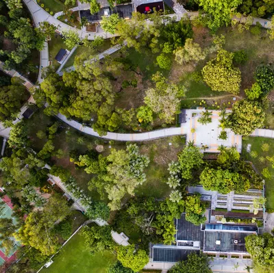 Linear Park