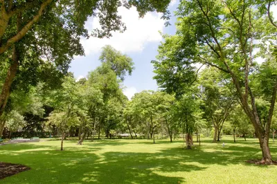 Parks And Gardens