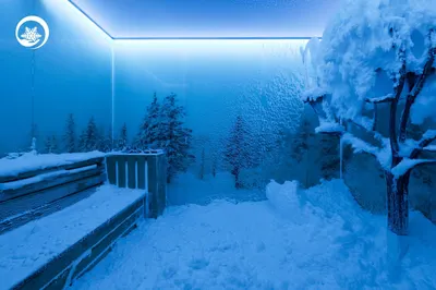 Snow Room