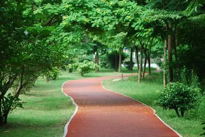 Jogging Tracks
