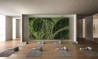 Yoga Area