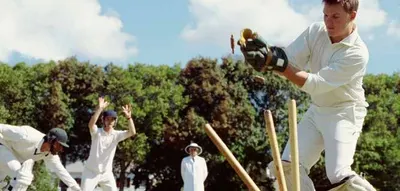 Cricket Court