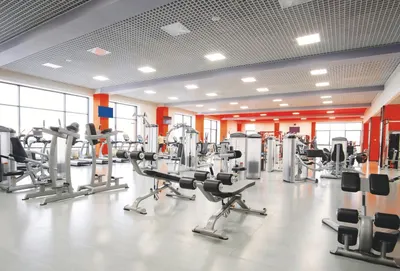 Fitness Hub