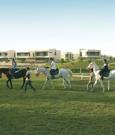 Stables With Horse-Riding Lessons