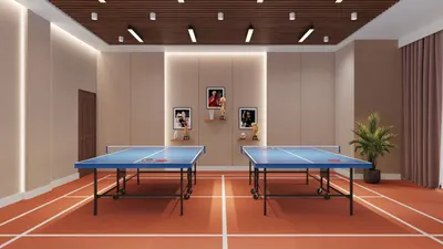 Table Tennis