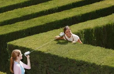 Hedge Maze