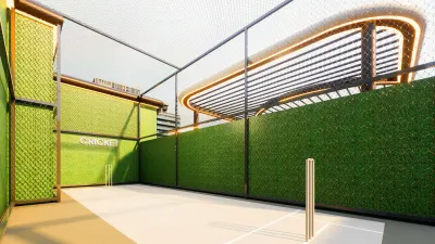 Cricket Pitch