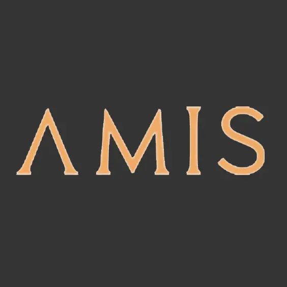 AMIS Development logo