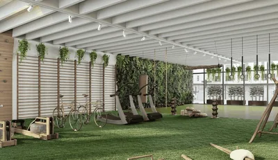 Outdoor Gym