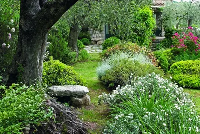 Community Gardens