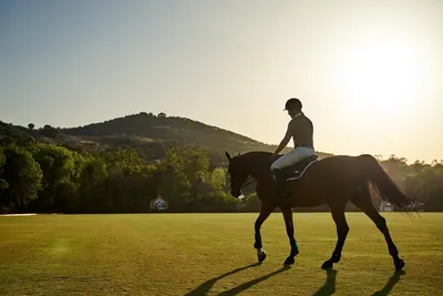 Equestrian Club