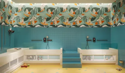 Pet Wash