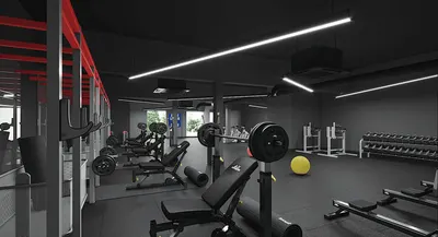 Fitness