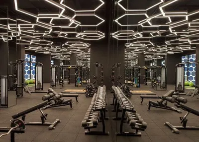 Gymnasium