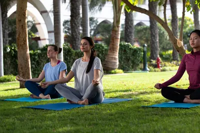 Yoga Garden