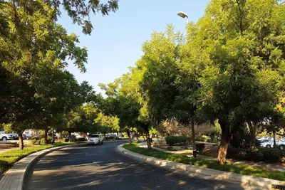 Gardens