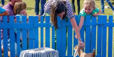 Petting Farm