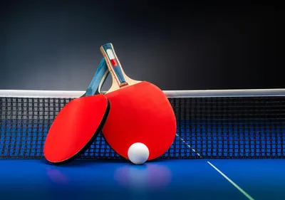 Ping Pong Table